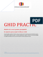 Ghid Practic PR Civ Civ Familiei Muncii Cu Decizia CC