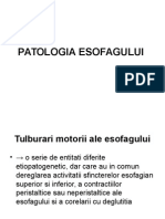 Curs III - Patologie Esofag
