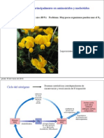 PDF D.Segura Sintesis AA