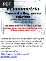 06 Tpico5 Heterocedasticidade 130213191813 Phpapp01