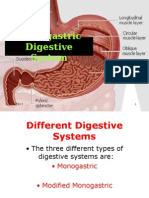 Monogastric Digestive System