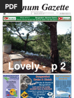 Download Platinum Gazette 19 March by Platinum Gazette SN28575566 doc pdf