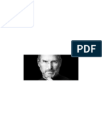 Steve PDF