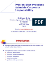 Perspectives On Best Practices of Sustainable Corporate Responsibility