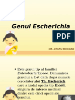 Escherichia Klebsiella Proteus - Curs Dr. Jitaru