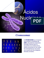 Acid Os Nuclei Cos