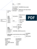 03 - Resumen Sedimentarias