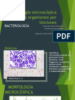 (Bacter) Morfología Microscópica