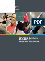 Bridgetefl Brochure