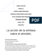 Práctica 2 Acción de La Amilasa Sobre El Almidón