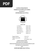 Download LAPORAN TSS Suppo Ovula 123 by Lia Wahyuni SN285814214 doc pdf