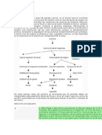 Evaluame ECCI