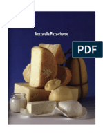 Elaboracion de Queso Mozzarella para Pizzas PDF