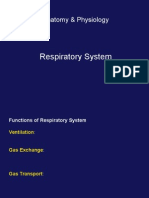 Anatomi & Fisiologi Sistem Respirasi