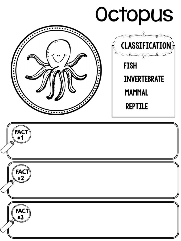 Octopus: Classification Facts | PDF