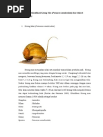 Download Deskripsi Pomacea canaliculata by Cinthya Larassati SN285836826 doc pdf