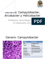 Clase 6-2°cap Campylobacter, Arcobacter y Helicobacter