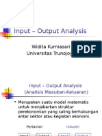 Input Output Analisis