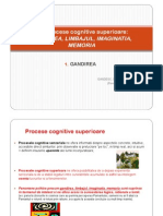  Procese Cognitive Superioare 1 GANDIREA