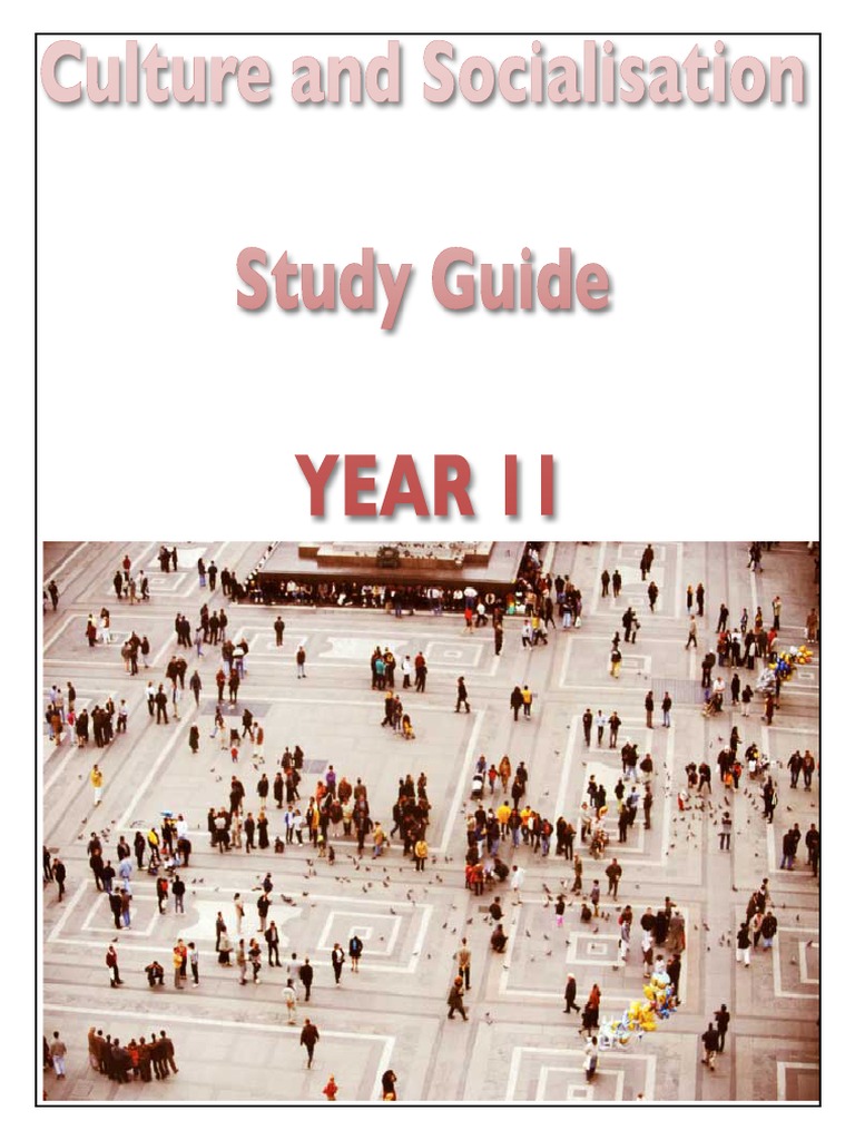 Understanding Culture, Norms, and Identity | PDF | Socialization ...