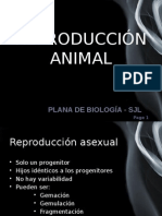 Sistema Reproductor Animal