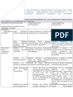 Histología Del Corazón