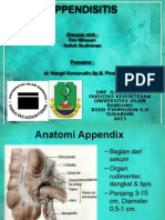 Appendicitis Mila_Hafizh (Revisi FIX)