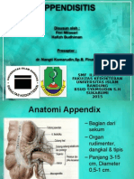 Appendicitis Mila - Hafizh (Revisi FIX)