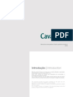 Manual de Identidade Visual - Cavalum Digital