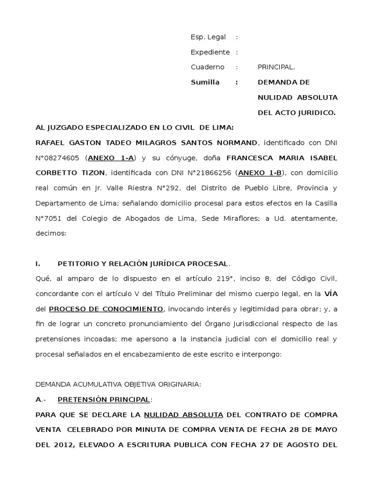Demanda Nulidad Acto Juridico | PDF | Demanda judicial | Propiedad