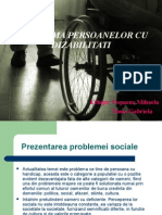 Problema Persoanelor Cu Dizabilitati