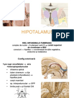 Hipotalamus