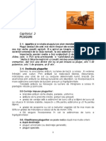 CAP 3 Pluguri Edit PDF