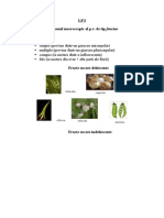 LP3 Examenul Macroscopic Al P.V. de Tip Fructus