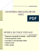 Anatomia Organelor de Simţ