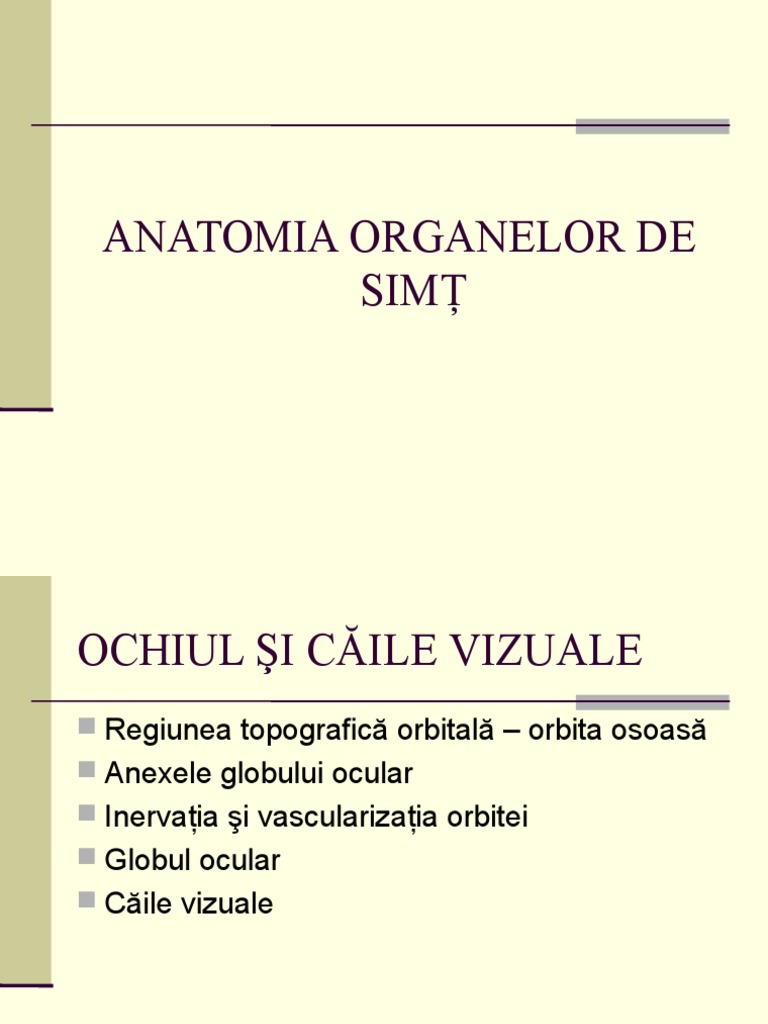 Anatomia Organelor de Simţ | PDF