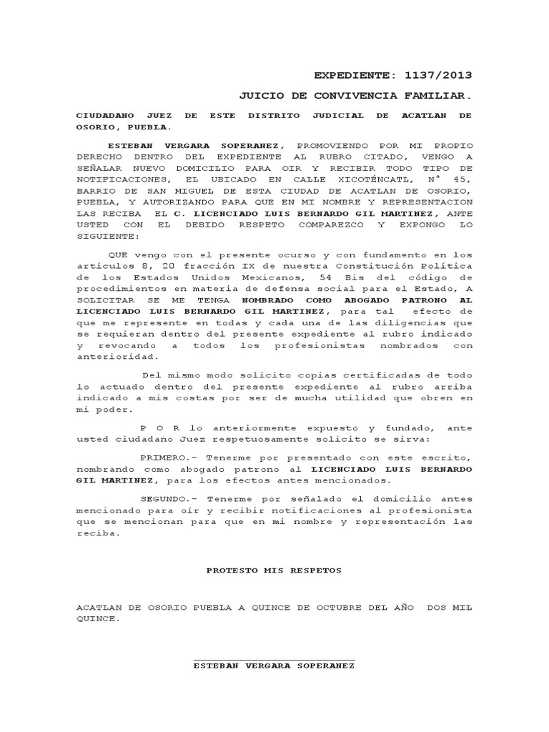 Nombramiento de Abogado 1 Juez Ciudadanía