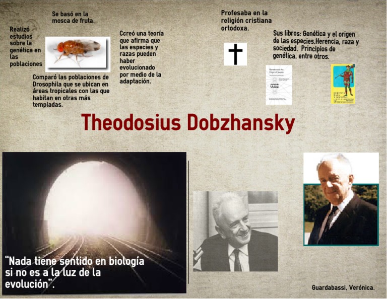 Teoría Sintética de Dobzhansky | PDF | Ciencias sociales