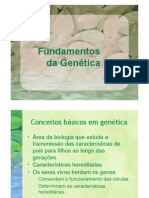 Fundamentos Da Genetica