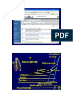 139208198-Neurofiziologie-Zagrean