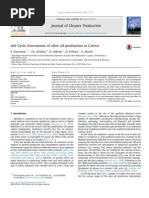 Olive Oil Production in Greece