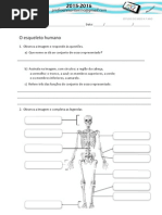 E MEIO 4_esqueleto
