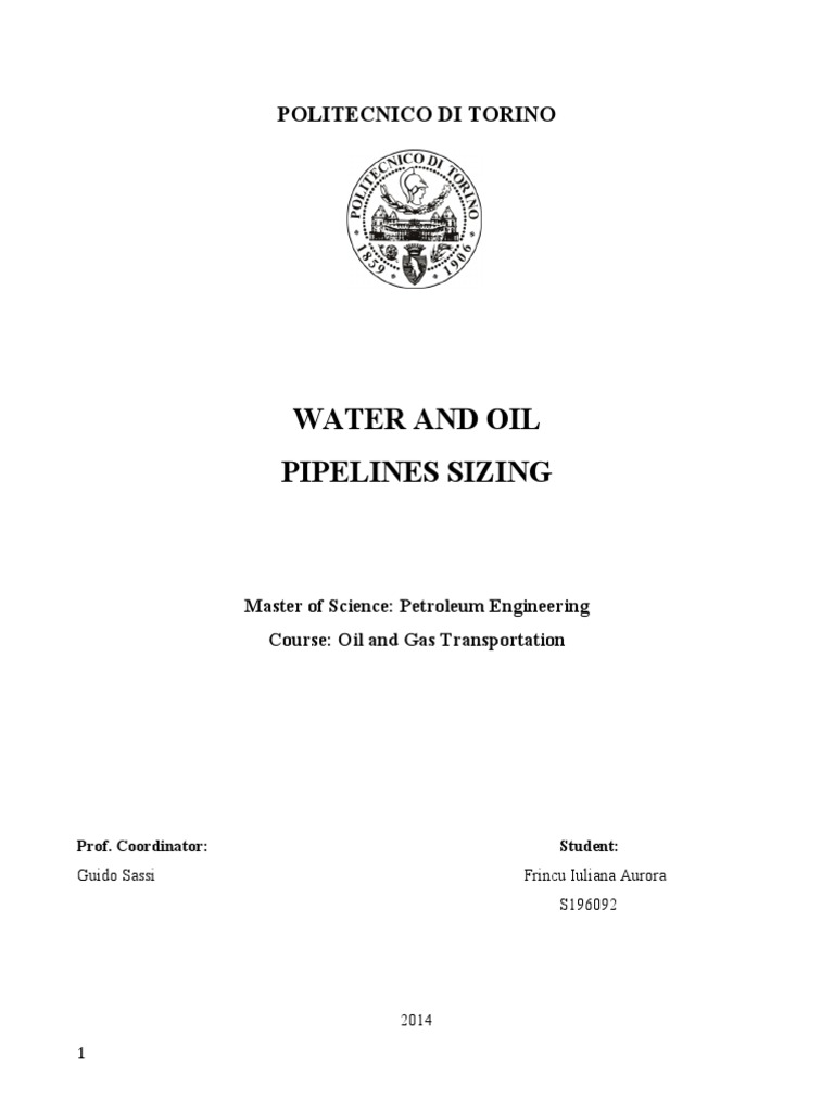 Water Transport Modelling | PDF | Fluid Dynamics | Valve