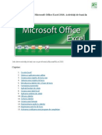 Notiuni Introductive Microsoft Office Excel 2010