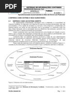 A empresa e Seus Subsistemas