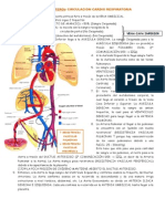 Fisiología Neonatal