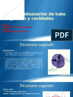 6.-Otros Protozoarios de Tubo Digestivo y Cavidades