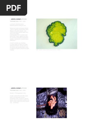 2008 Armor Tropisme Portfolio