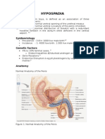 HYPOSPADIA