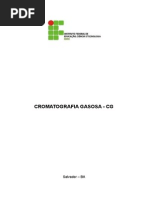 CROMATOGRAFIA GASOSA